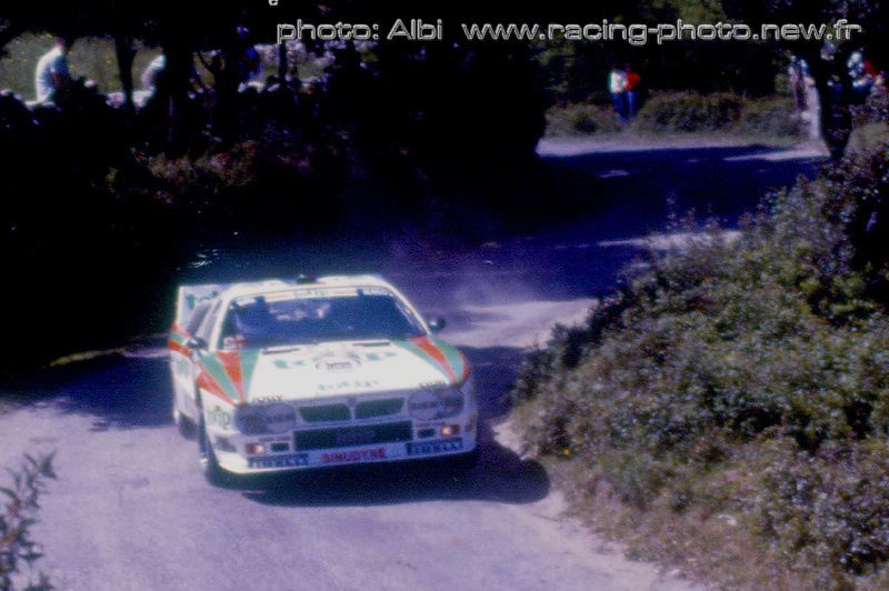 tdc85__1.jpg